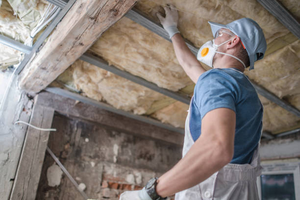 Best Specialized Insulation Services in Minersville, PA